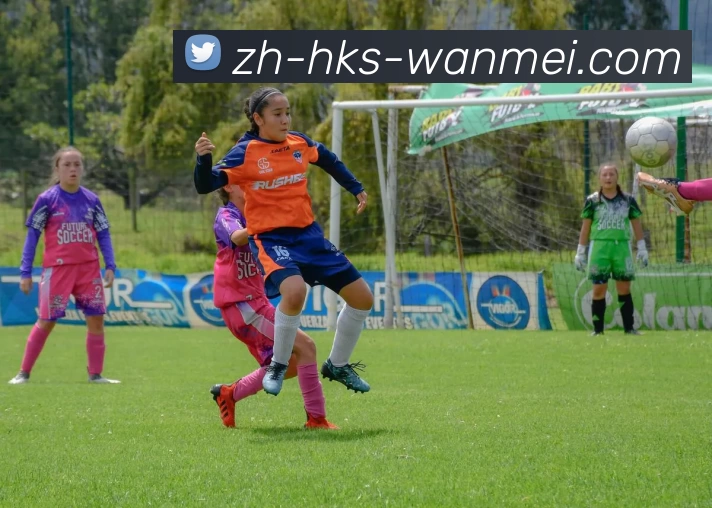 完美体育投注平台发展历程